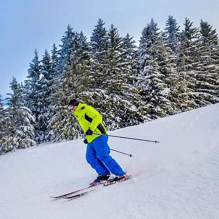 Resort Village Club Les Tavaillons