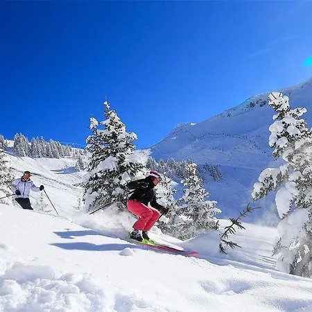 Village Club Les Tavaillons 리조트 3*